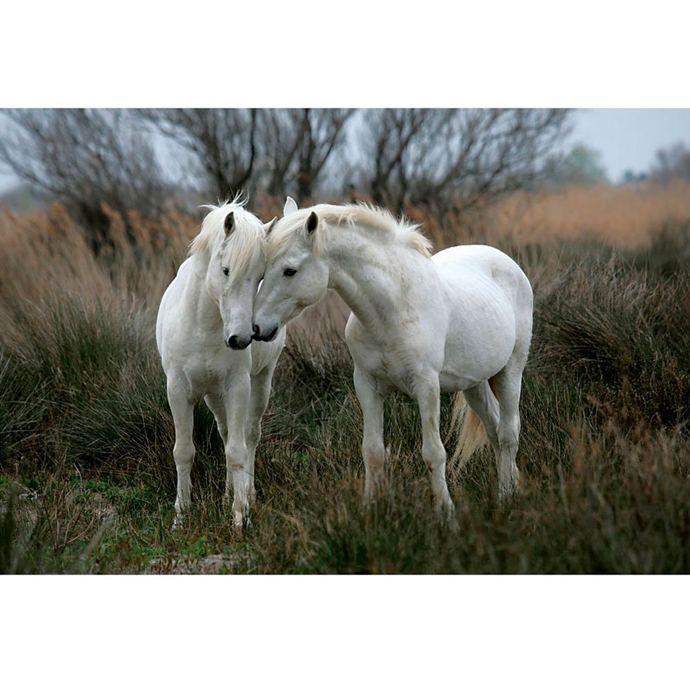 TOMAX PUZZLE 1500 PIEZAS WHITE STALLIONS TOMAX PUZZLE 1500 PIEZAS WHITE STALLIONS